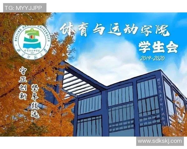 体育运动的积极影响与潜在风险全面分析与探讨