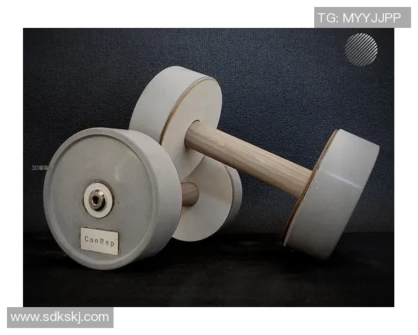 便携式健身器材让你随时随地享受高效锻炼的乐趣与健康生活方式