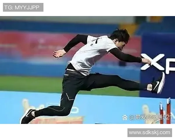 我最崇拜的体育明星与他们背后的奋斗故事和成就分享