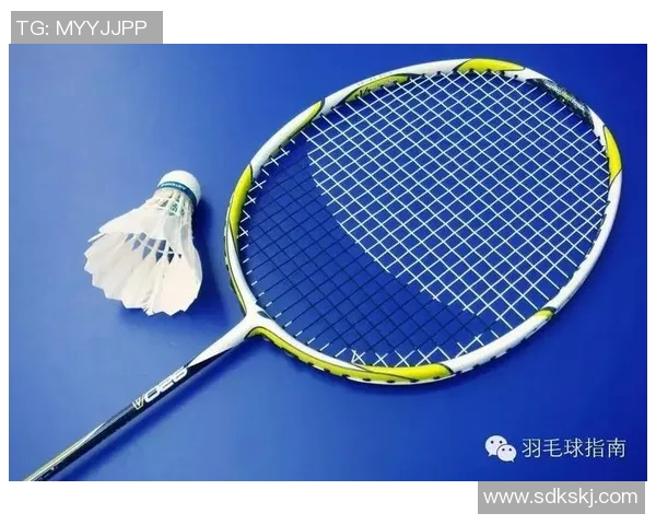 羽毛球器材的全面解析与选择指南助你提升竞技水平